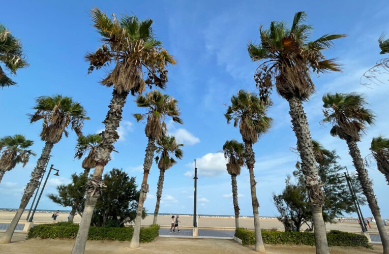 Valencia, el lugar de tus próximas vacaciones.