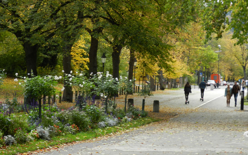 caminata por Ringpark
